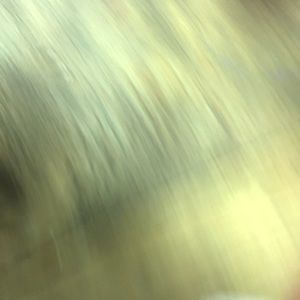 Meet your Posher, Cesar